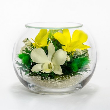 "NaturalFlowers" Арт: BSM1 цветы в стекле
